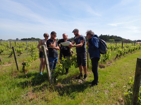Visite de ferme lors d’un DPN sur un domaine viticole